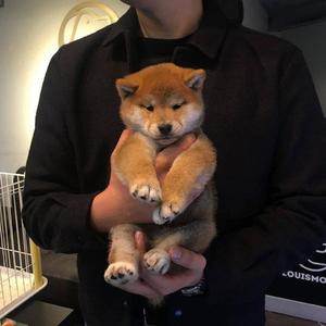 14岁男生手冲素材免费看
